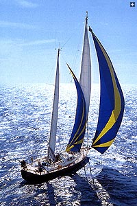 Click image to enlarge