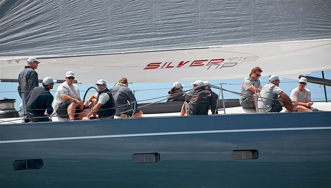 Millennium Cup Millennium Cup