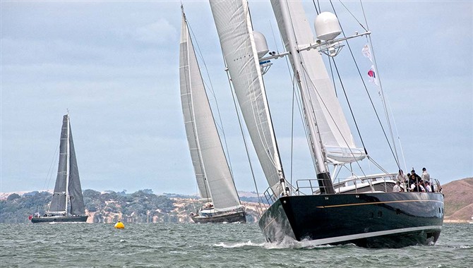 Millennium Cup Millennium Cup