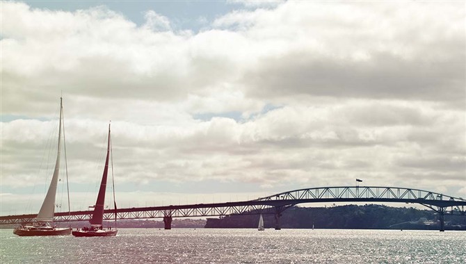 Millennium Cup Millennium Cup