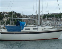 Griffon 26