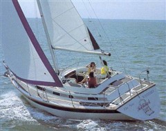 Seahawk 34