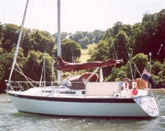 Falcon 34