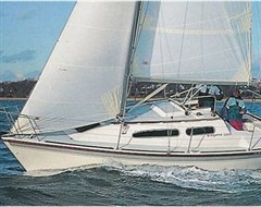 Regatta 260